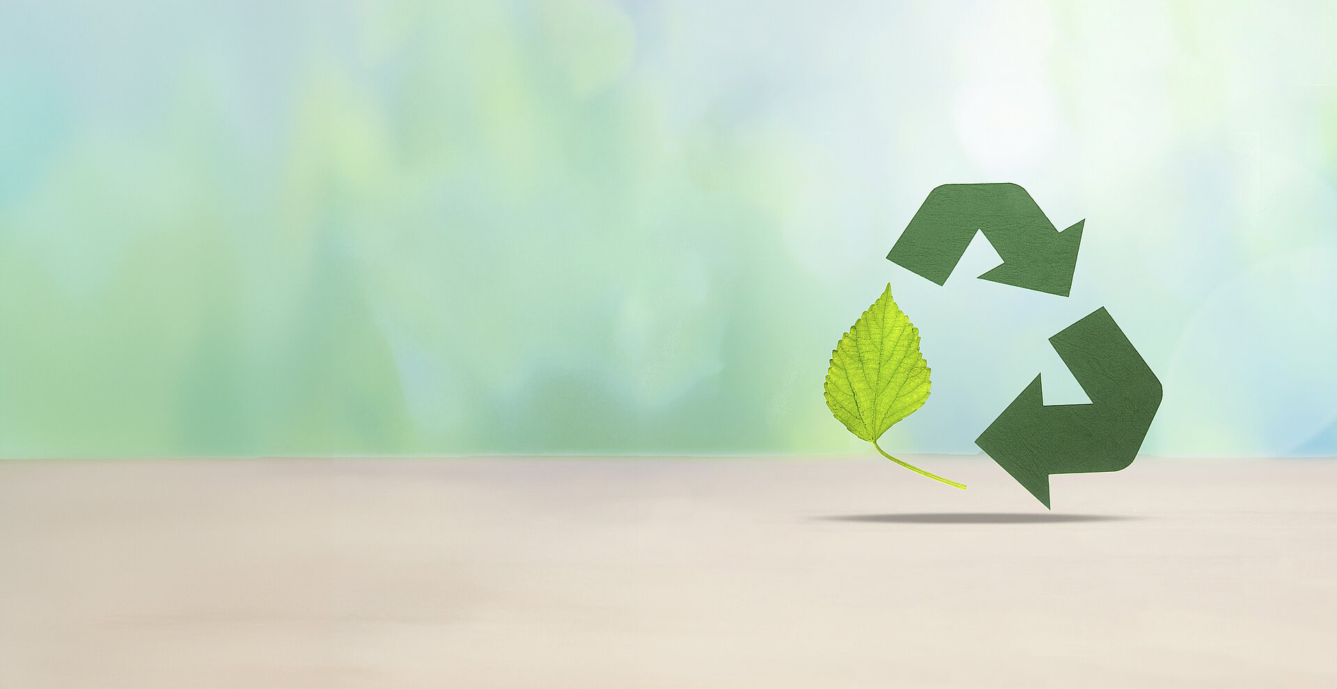 Recycling Recycling
